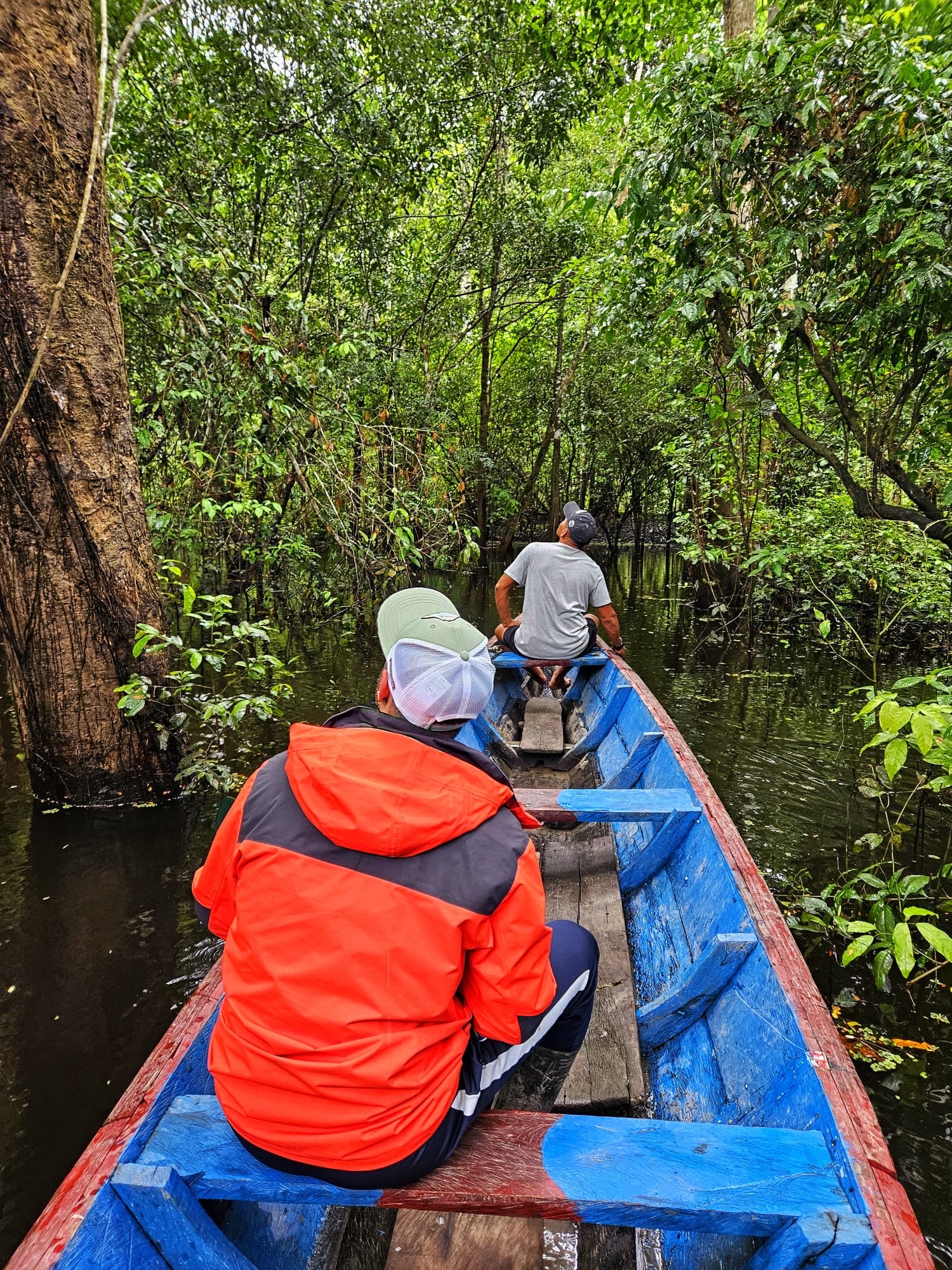 12-Day Ayahuasca Retreat