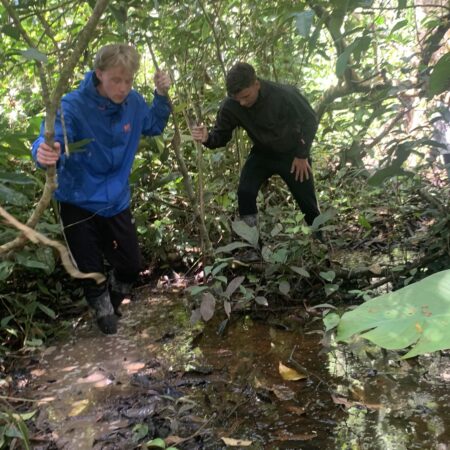 9-Day Ayahuasca Retreat