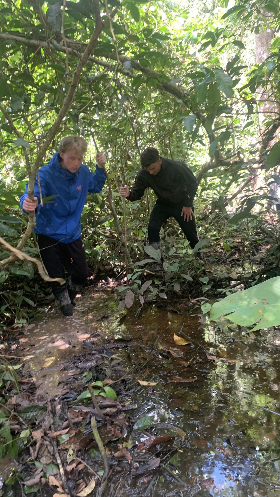 9-Day Ayahuasca Retreat