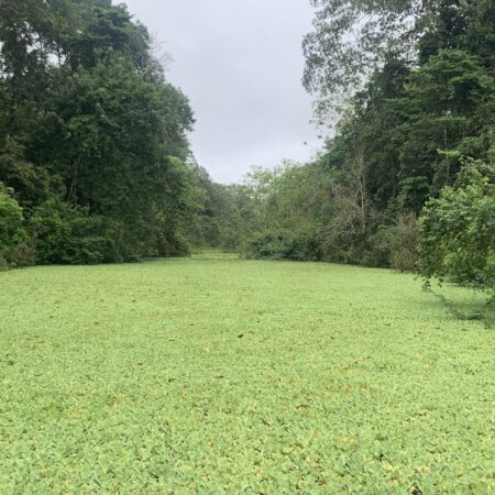 4-Day Eco Tour
