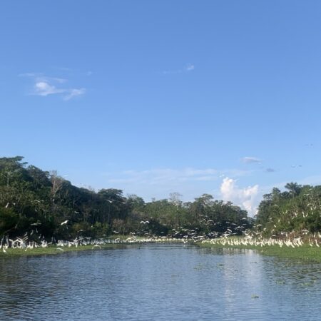 2-Day Eco Tour